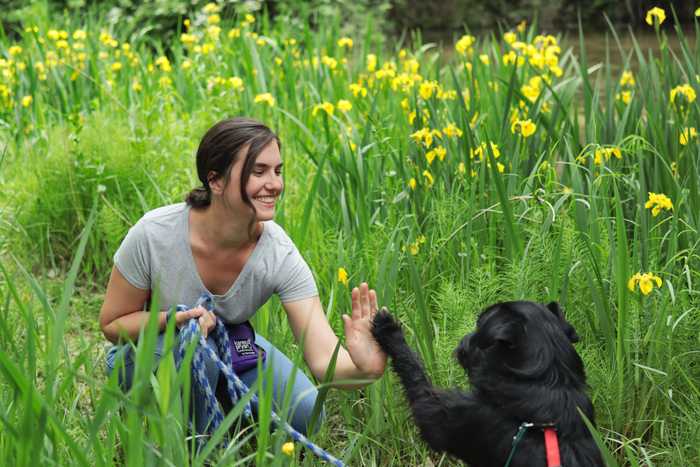 Taylor and Scott high fiving after some great dog training in Boise