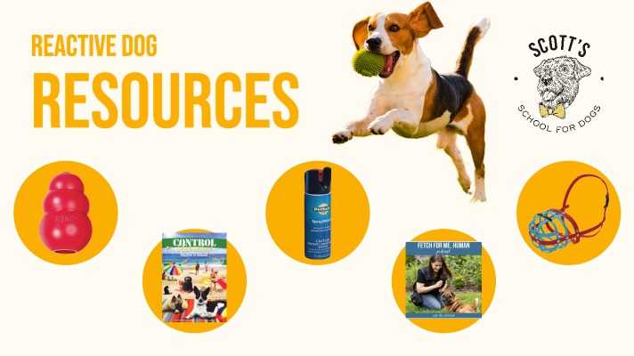 Title card that says Reactive Dog Resources with photos of a Kong, Control Unleashed, Spray Shield, Fetch for Me, Human Podcast, and a Bumas Muzzle
