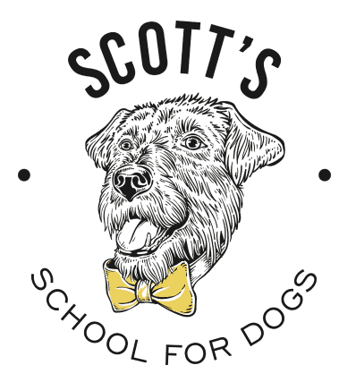 round logo that says Dog training and has an adorable drawing of Scott