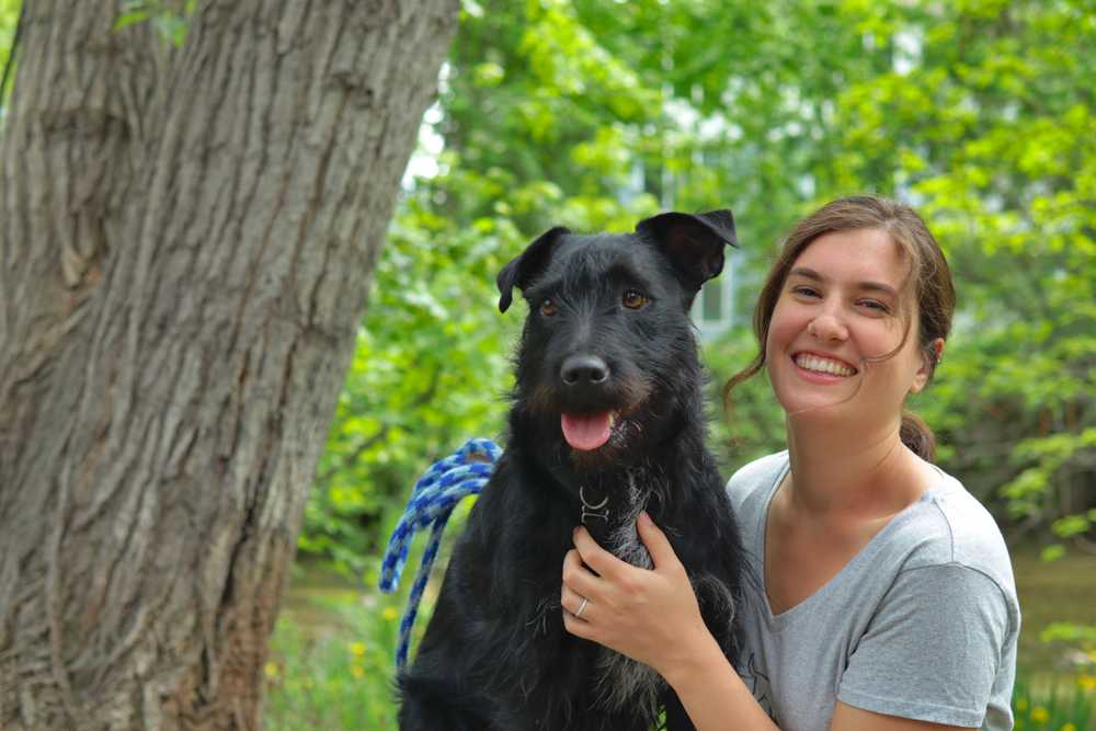 Scott's School For Dogs Dog Training Boise, Idaho