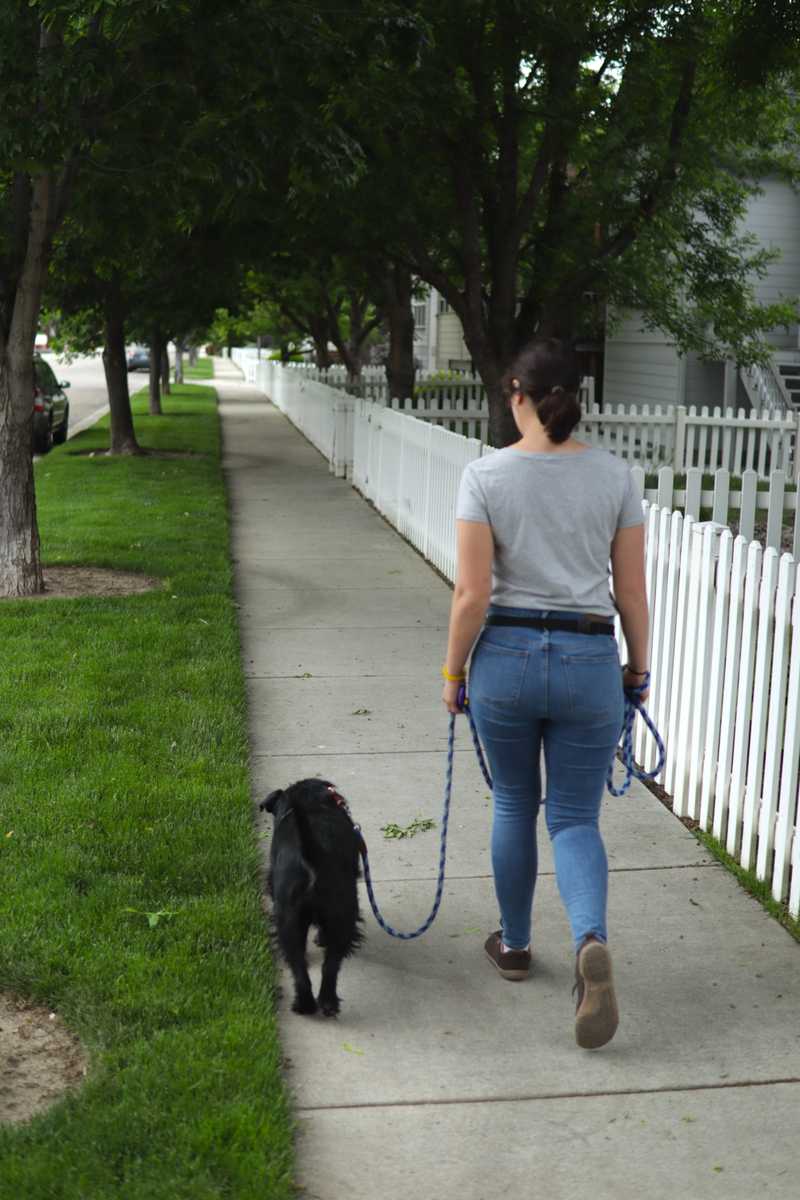 Woman walks her black dog on a loose leash 