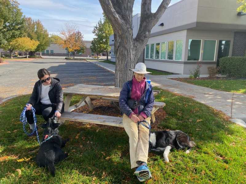 two women sit at a picnic table with their dogs laying at their feet