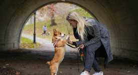 Blonde woman high-fives a corgi in front of a pedestrian tunnel