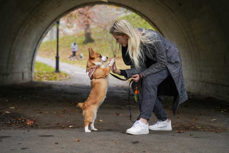 Blonde woman high-fives a corgi in front of a pedestrian tunnel