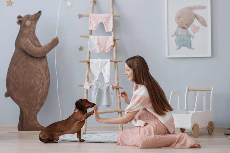 Woman gives her dog a high-five in a child's nursery 