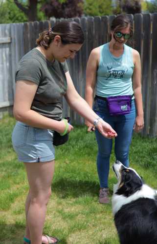 dog training with mia at home in Boise, Idaho